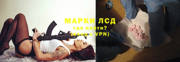 ГАЛЛЮЦИНОГЕННЫЕ ГРИБЫ Магадан