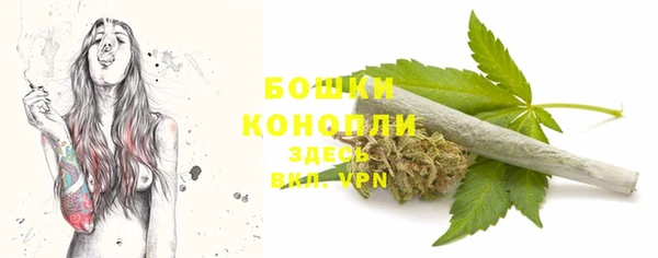 ALPHA PVP Касимов