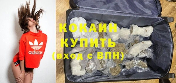 стафф Гусев