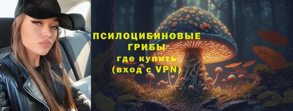ГАЛЛЮЦИНОГЕННЫЕ ГРИБЫ Магадан