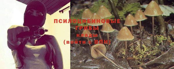 ГАЛЛЮЦИНОГЕННЫЕ ГРИБЫ Магадан