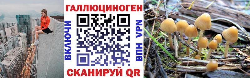 Галлюциногенные грибы ЛСД  как найти закладки  MEGA зеркало  Вологда 