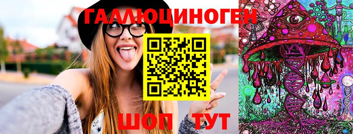 Вологда  Галлюциногенные грибы GOLDEN TEACHER  Вход с VPN  Псилоцибиновые грибы Psilocybine cubensis 